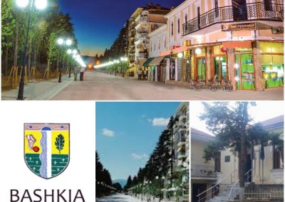 Bashkia Devoll