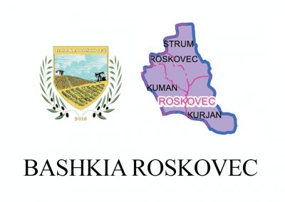 Bashkia Roskovec